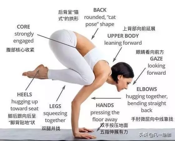 一篇文章兩項內容,27張瑜伽細節圖加練習注意事項,分享給大家