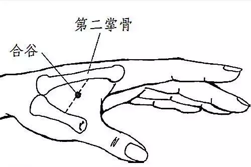 讓疾病遠離你和你的家人——人體的「萬能穴」