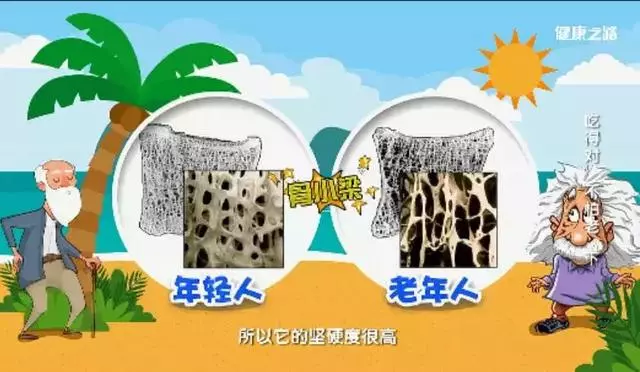 老年防摔至關重要!吃吃喝喝就辦到~