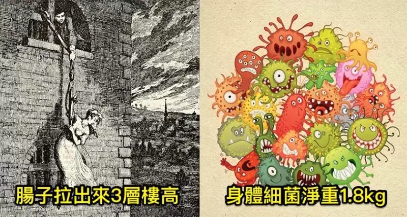 這9個「健教課本都不知道的秘密」揭開人體超精密的無限可能,只有在《奪魂鋸》才會看到用腸子逃生的概念...