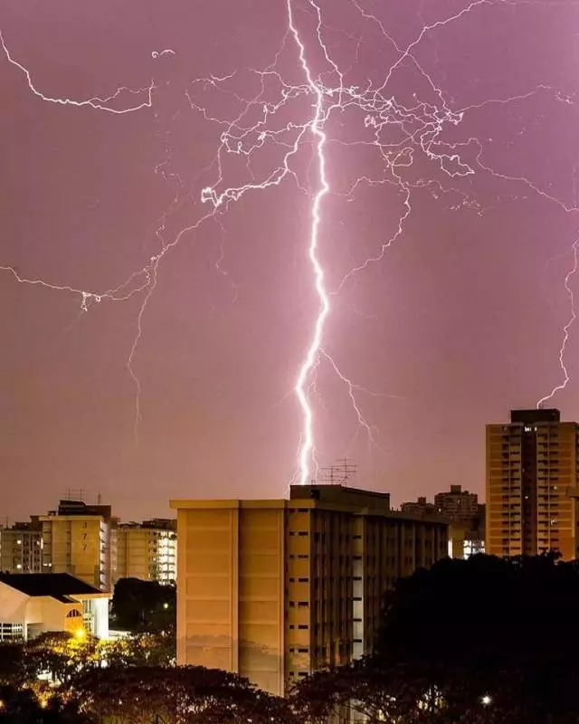 注意!新加坡狂風暴雨來了,全島多處大樹都被連根拔起