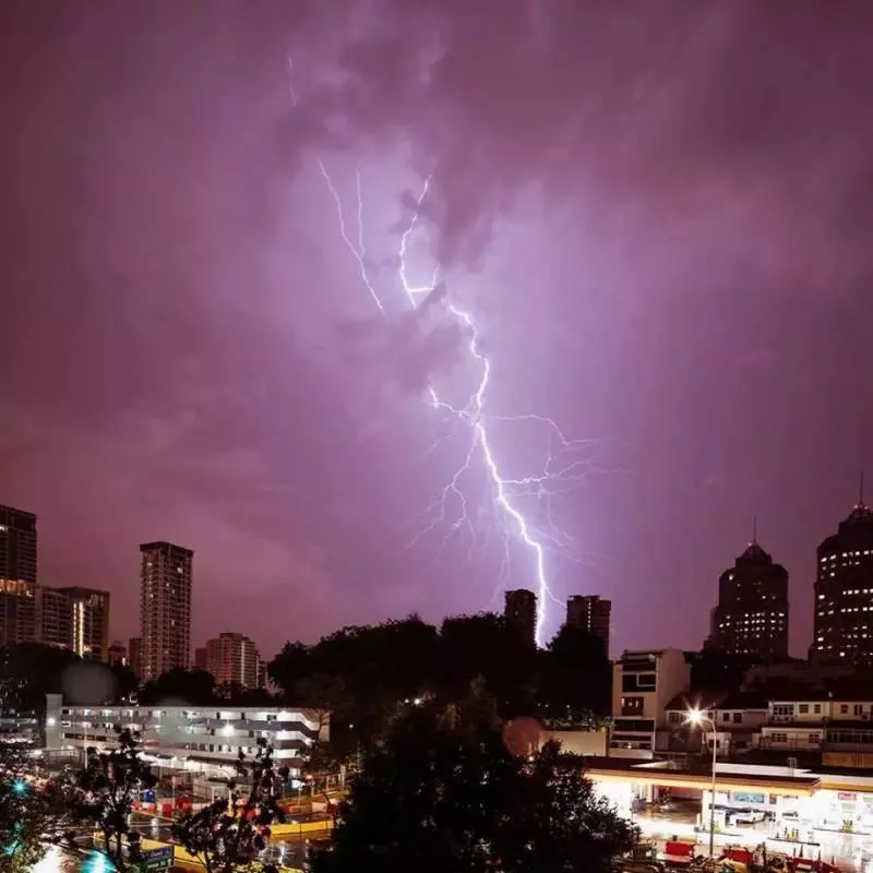 注意!新加坡狂風暴雨來了,全島多處大樹都被連根拔起