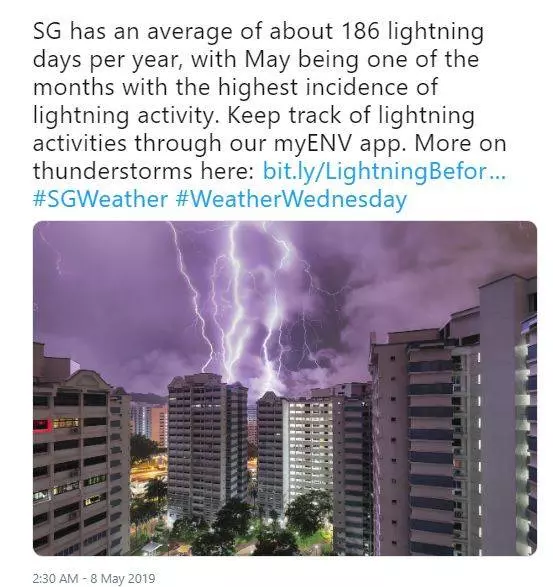 注意!新加坡狂風暴雨來了,全島多處大樹都被連根拔起