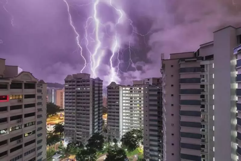 注意!新加坡狂風暴雨來了,全島多處大樹都被連根拔起