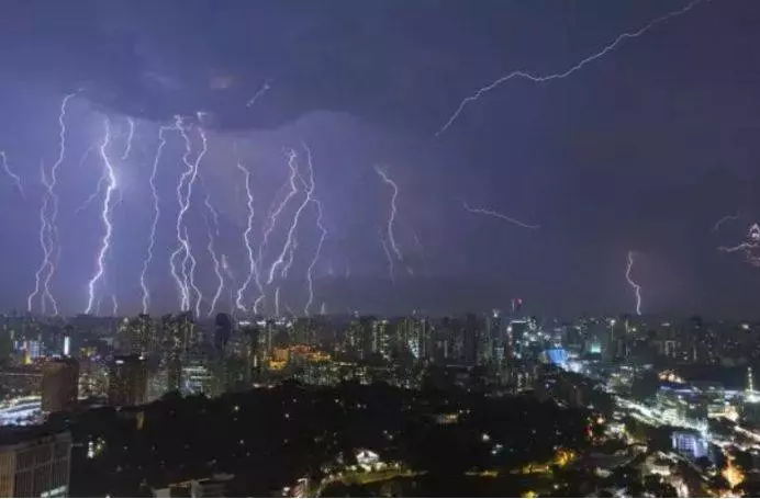 注意!新加坡狂風暴雨來了,全島多處大樹都被連根拔起
