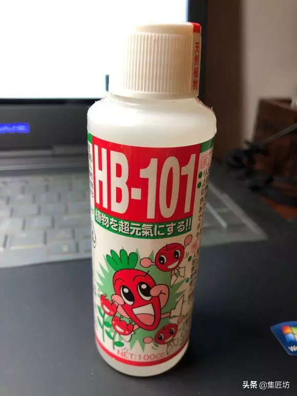 樁景死亡不是你養護不到位,機能退化才是致命傷!九里香盆景養護