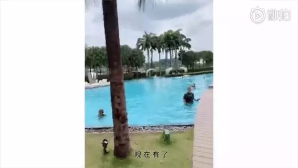 實拍!女神張柏芝帶你玩轉新加坡