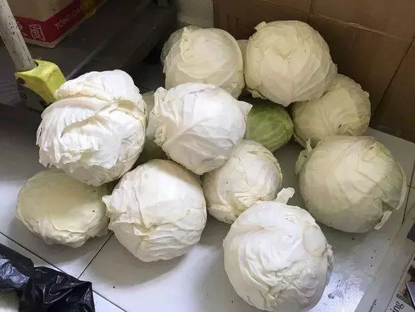在新加坡這個世界最昂貴的城市,他一年吃飯只花了8新
