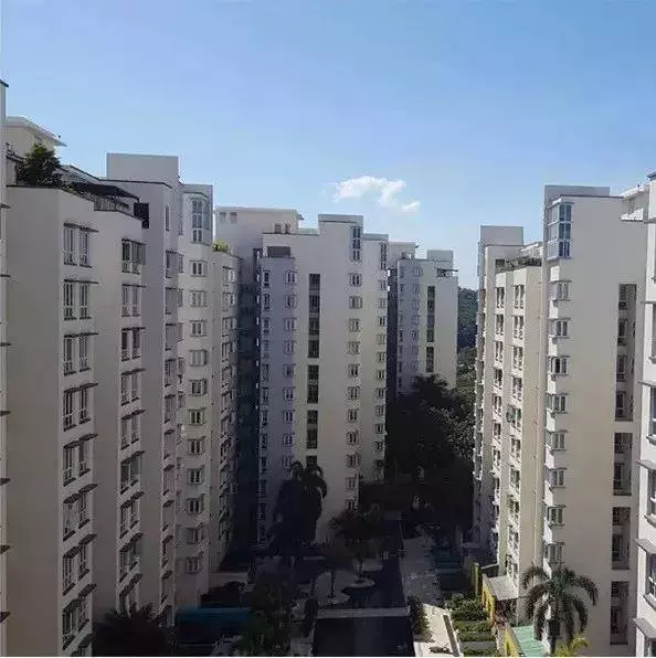 在新加坡千萬別做這件事,19人受到重罰、13名人吊銷工作準證!