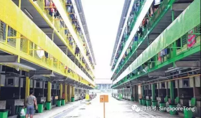在新加坡千萬別做這件事,19人受到重罰、13名人吊銷工作準證!