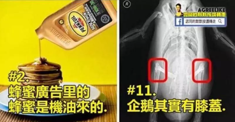 13個你已經「搞錯N年」的錯誤事實!!