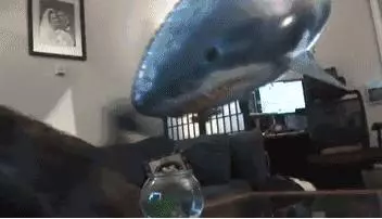 兒子說媽媽在爸爸出差時都會變傻,爸爸問怎麼會變傻?兒子說完後他們就去辦離婚了!