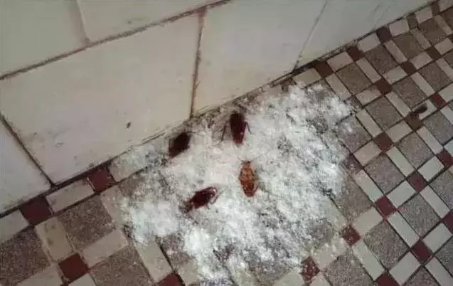 小蘇打17種妙用,一個比一個好用,大家可以收藏以備不時之需哦