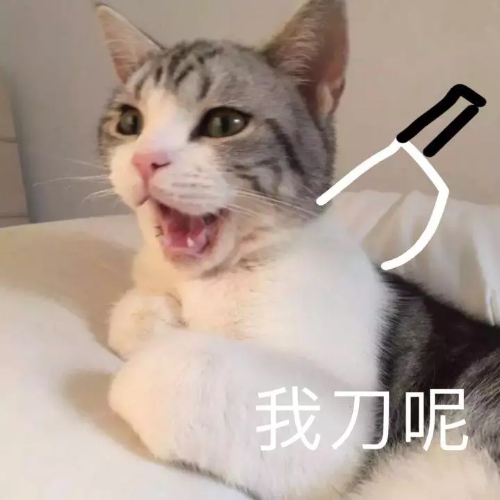 高能!「」新加坡「」某超市的香腸里竟然吃出了......嘔
