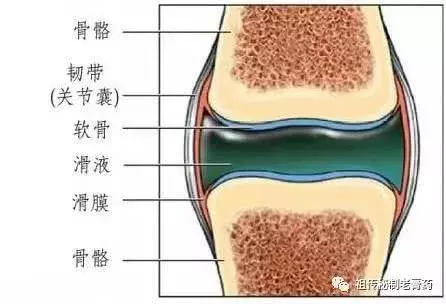 「紅糖 + 黑豆」煮著吃,不出半月滑膜炎消失了,膝蓋不疼了,腿腳也不麻木了!