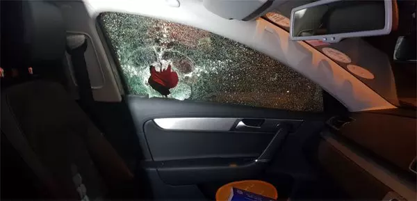 割草車片擊中石頭 男子瞬間變血人