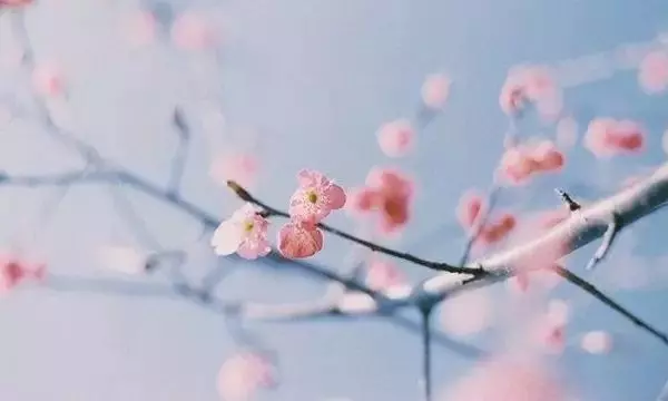 「做人,良心排第一!」