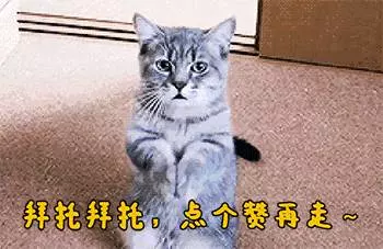 星爺《長江七號》三個「男孩」都長成大美女,網友:竟被騙了10年!