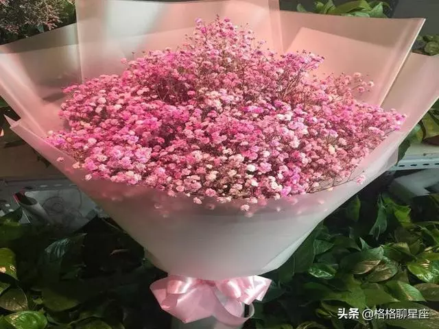 2019年下半年,這些星座桃花運最旺,事業運緊隨其後