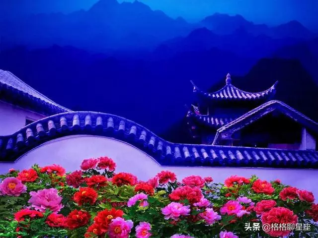 2019年下半年,這些星座桃花運最旺,事業運緊隨其後