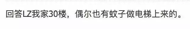 (新加坡)為什麼沒有蚊子?樓層高蚊子飛不上去?買房、租房必看