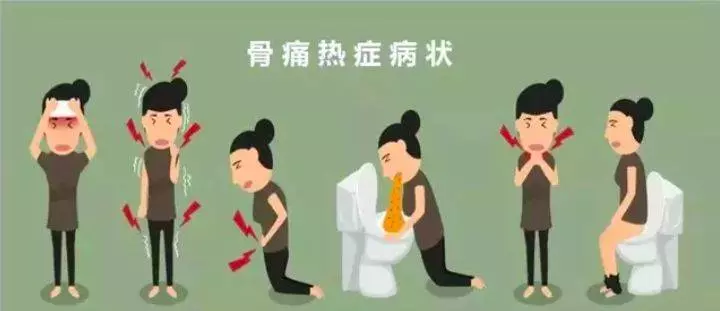 (新加坡)為什麼沒有蚊子?樓層高蚊子飛不上去?買房、租房必看