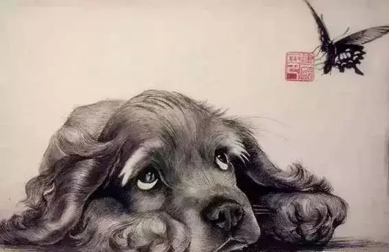 越老越有錢花的生肖,你上榜了