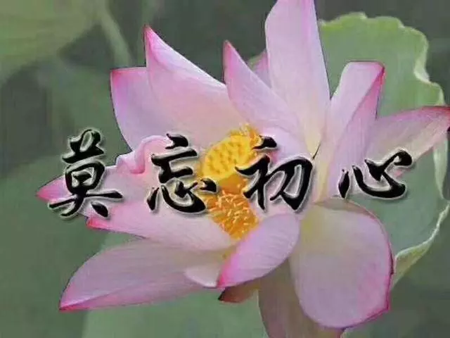 不要因為一點錯,就忘記對方所有的好