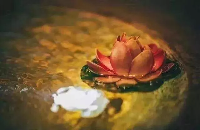 不要因為一點錯,就忘記對方所有的好