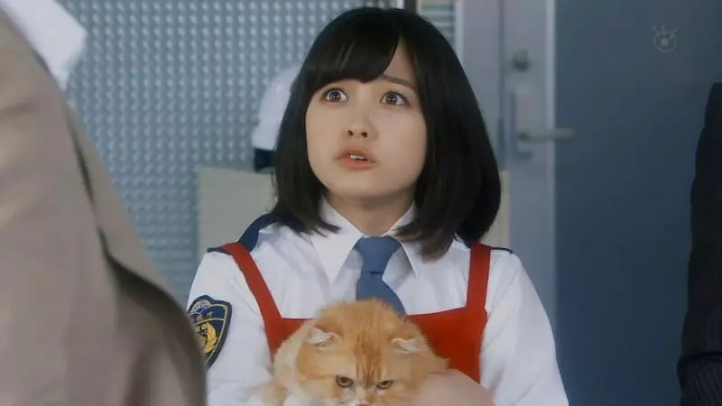 史上最難題「比爾蓋茲與橋本環奈掉水裡該救誰?」網友神解題突破盲腸啊