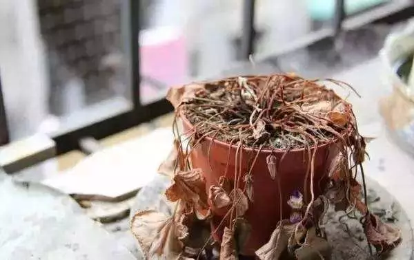 家運衰敗的10大徵兆,千萬要注意!趕快看看你家有嗎?