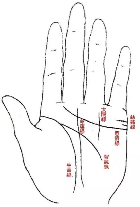 女人,「此處」越小,命就越好,一輩子必定福氣多多!