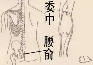 穴位我們怎麼在治療疾病中更好的運用
