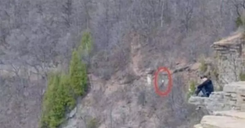 難得見到!男子把登山照放大後,再也不敢一個人去登山了!