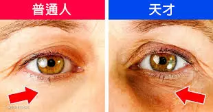 8大驚奇徵兆看出「你比別人還要聰明」,#7 愛狗人士抱歉了!