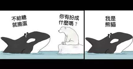 20張比你更「熱衷過萬聖節的傻萌動物」爆笑漫畫。