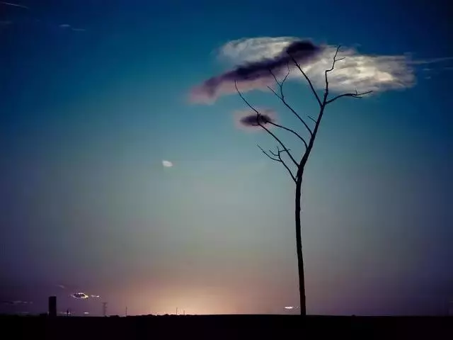 55張世間罕見照片,一眼萬年!