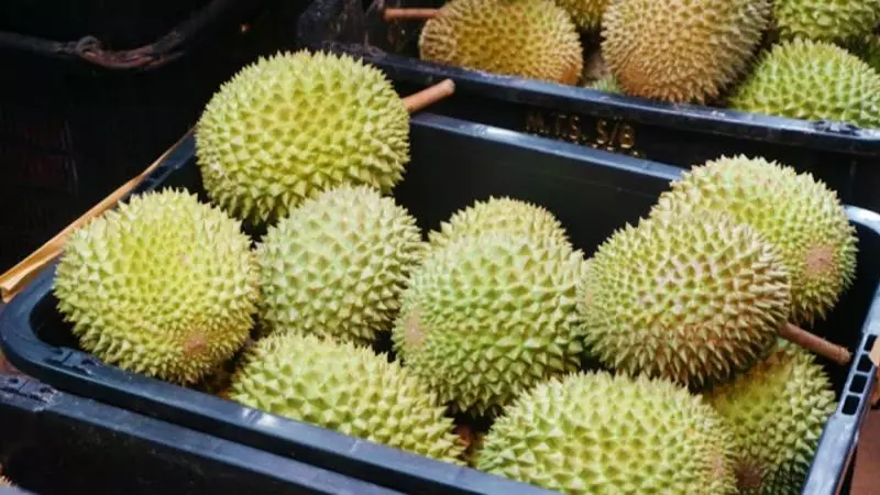 發生什麼事了,三千個榴槤貨櫃遇阻中國海關!