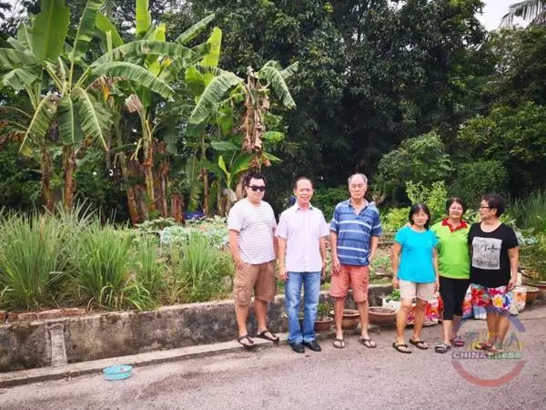 善用垃圾成堆荒蕪地種菜,華裔殘疾男子反被罰RM1000:官員沒問任何事直接罰!