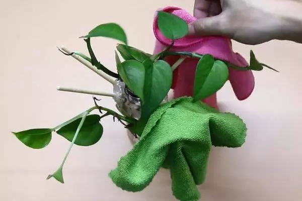 媳婦太聰明了,在寶特瓶上插幾根筷子,放在家裡好看又實用,親戚鄰居看了都要學