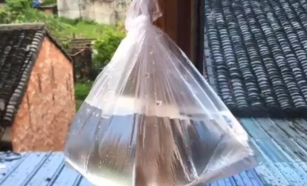 天熱了,趕緊在窗邊放幾枚硬幣,好多人不清楚,越快知道越好