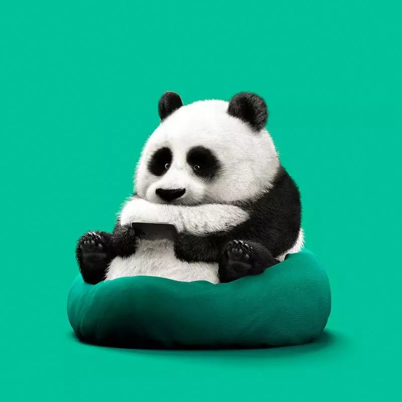 如果動物也迷3C產品… 藝術家創作16張「軟萌科技懶公仔」插畫