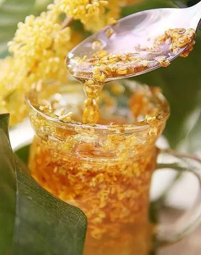 圓子教你自製15款健康茶飲，鮮美多汁，好喝又滋補，冰鎮更解暑！