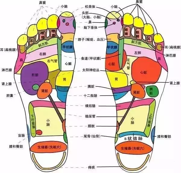 癌症,最怕你做這幾種運動~?建議腫瘤患者在診斷或治療後儘快恢復正常活動