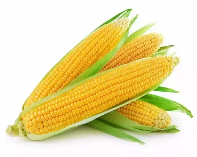美國兒科學會:對眼睛最好的7種食物,一定要記得讓孩子從小多吃哦
