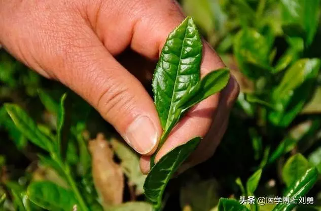 長期抽菸的人,多「3綠」,避「3氣」,常按1穴,肺會慢慢變好