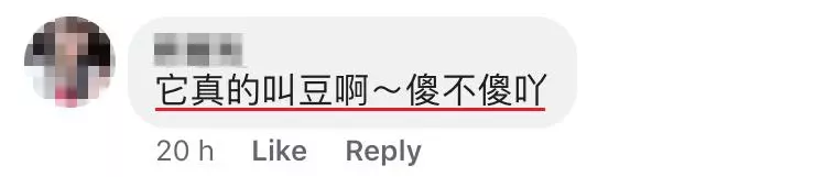 大馬女生媽媽把KOI奶茶讀成「豆」奶茶笑翻網友!