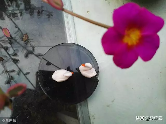 學會調節自己的情緒-----換位思考