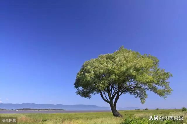 這4種好心態,堅持下去,你就贏了