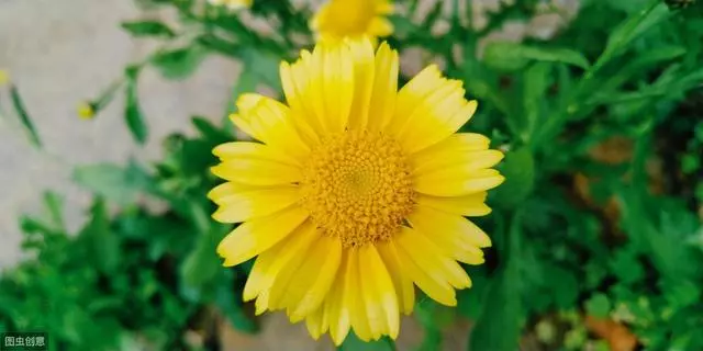心存敬畏,是一個人內心真正的修養